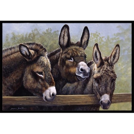 Carolines Treasures Carolines Treasures BDBA0235MAT Donkeys by Daphne Baxter Indoor or Outdoor Mat; 18 x 27 BDBA0235MAT
